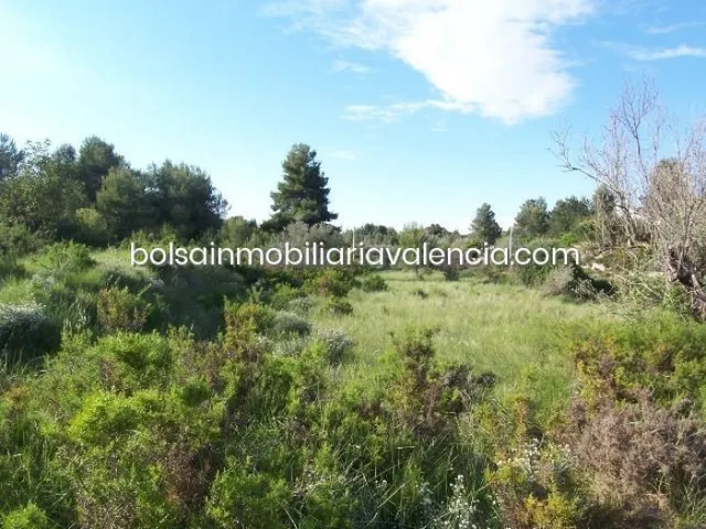 Terreno rural 8000m² en venta - La Raiosa — 17