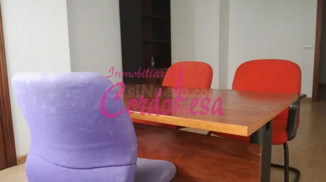 MAGNÍFICO DESPACHO JUNTO A CORTE INGLES — 3