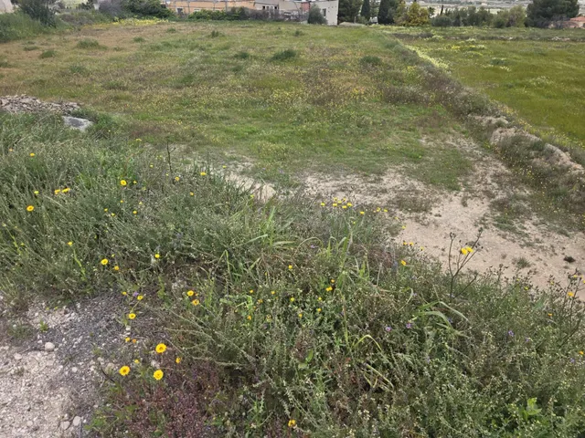 Terreno en Aspe