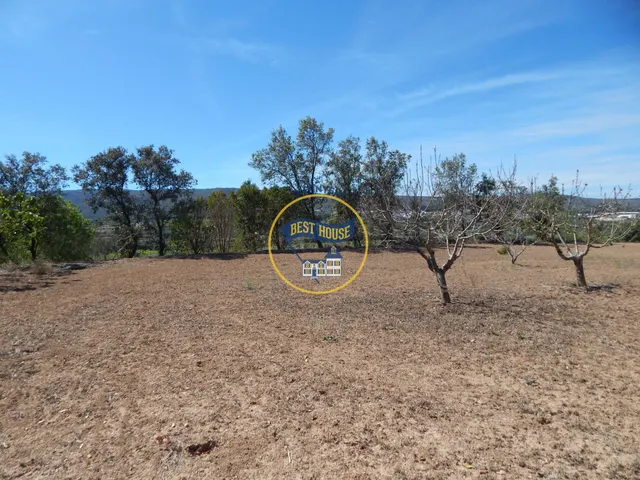 TERRENO DE 17.900M2  EN PRODUCCIÓN CON POSSIBILIDAD DE CONSTRUIR EN AGULLENT(VALENCIA) — 4
