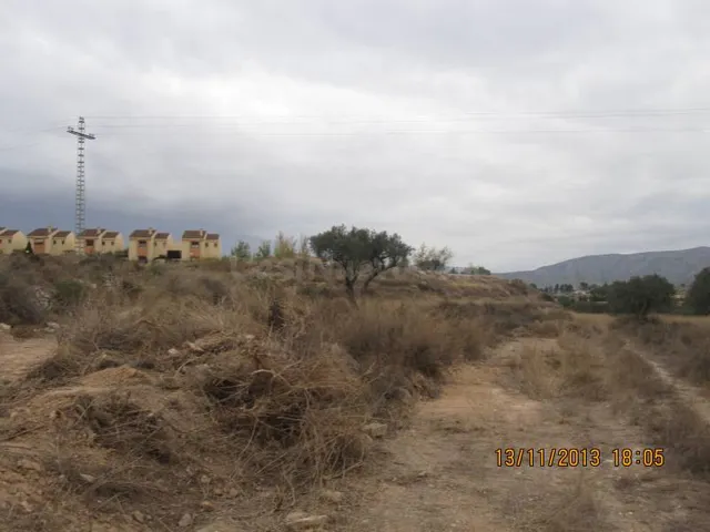 32000 metros en la zona del colegio cañis de monovar — 2