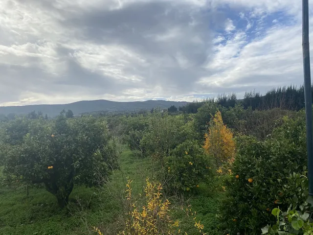 Parcela 50m² en venta - Sotogrande - Alto — 11