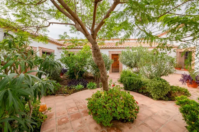 Casa de Campo Reformada en Villanueva de la Concepción: Paz, Elegancia y Vistas Únicas — 14