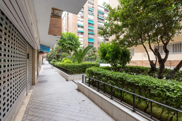 ✨ Local comercial en alquiler en Alminares – Granada — 3