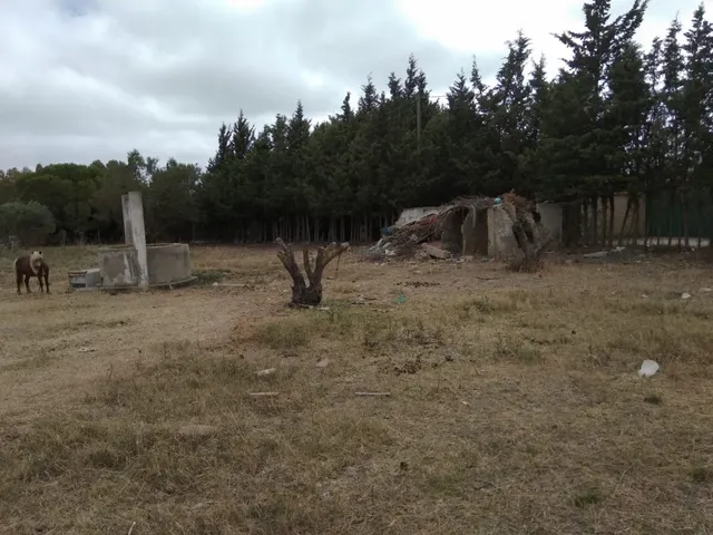 MAGNIFICA PARCELA EN PUERTO REAL EN CASINES — 6