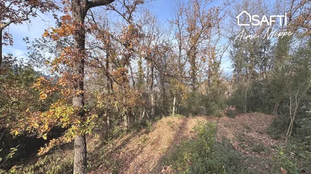 Masía Para Reconstruir - Pleno Bosque - Vistas Panorámicas.  - foto 2