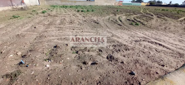 Chalet de 200m y dos naves en parcela de 6700 — 26