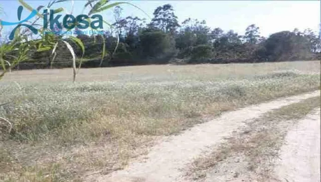 VENTA DE SUELO EN LEPE. — 8