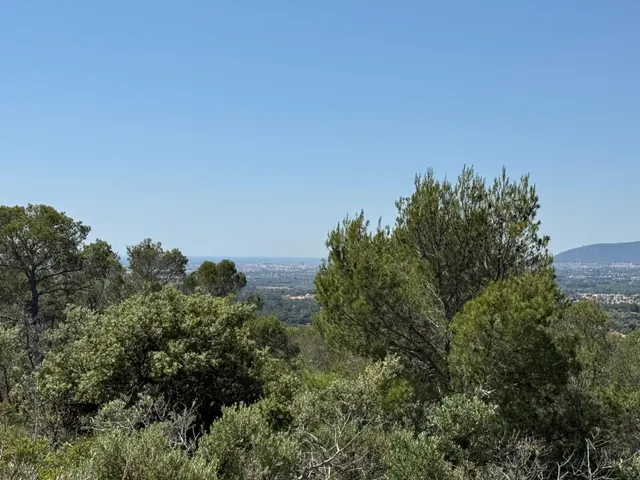 Finca única en plena naturaleza — 32