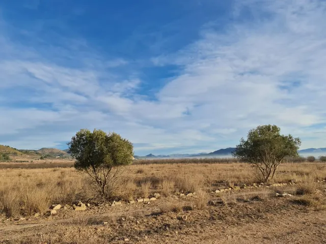 Terreno en venta en Monóvar Comunidad Valenciana — 9