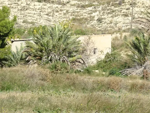 SE VENDE PARCELA DE 20814 M2 CON ALMACÉN DE 45 M2 EN ASPE ZO