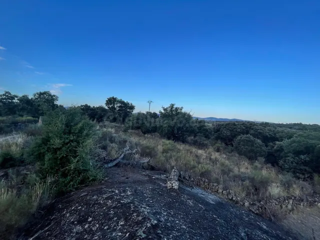 TERRENO RUSTICA CON ENCINAS EN ALDEA DEL CANO - foto 4
