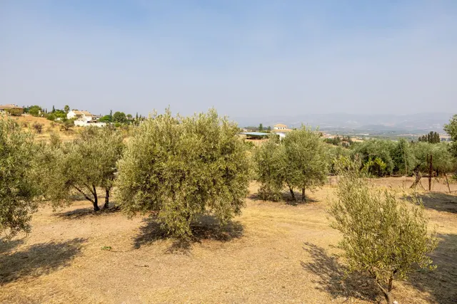 Encanto rústico con casita y olivos en Moraleja de Zafayona — 43
