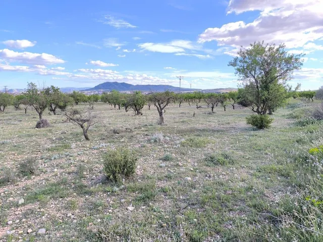 Parcela en venta - Castilla la mancha - foto 3