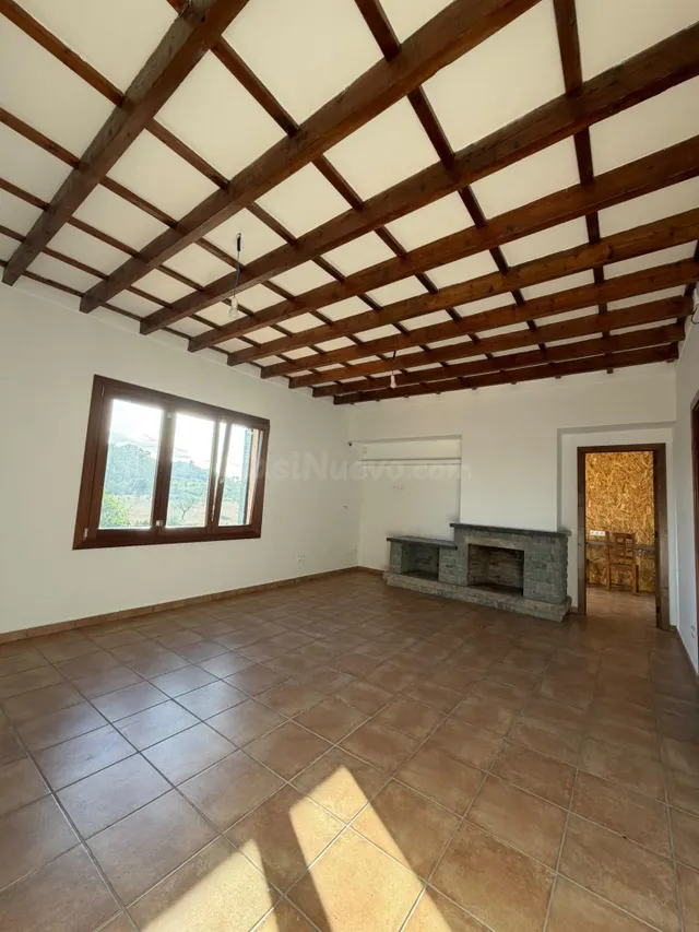 ALQUILER EXCELENTE FINCA AFUERAS DE SINEU - foto 3