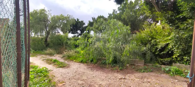 GRAN SOLAR URBANO EN NIJAR VILLA - foto 4