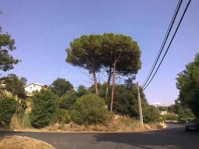 MUY BIEN UBICADO! - foto 2