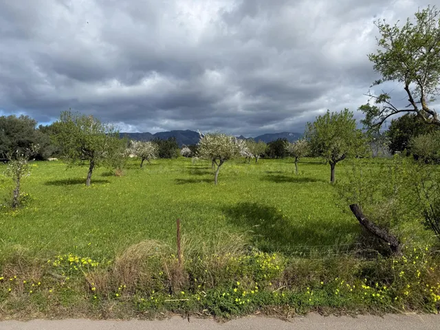 Terreno urbano en venta - Son Espanyol - foto 2