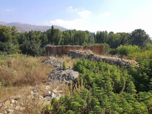 Exclusiva Finca en venta Fondón. ¡Con permiso de construcció - foto 3