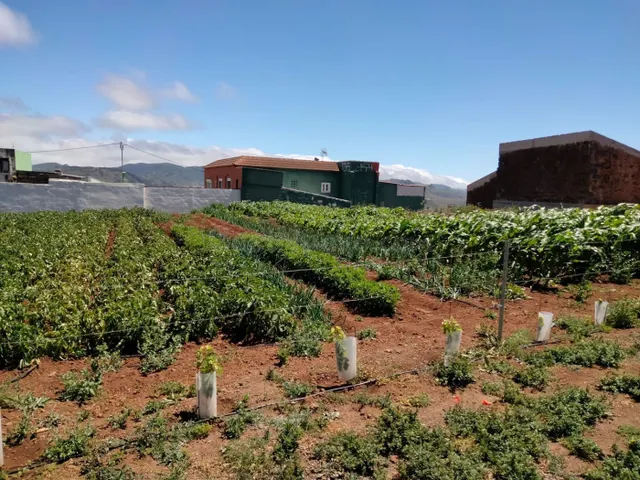 Terreno rural en venta - Zona Centro - foto 3