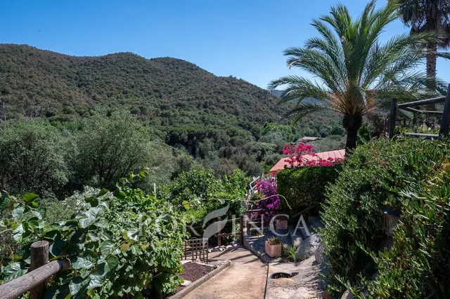 Gran chalet con privacidad total, amplio jardín con piscina  - foto 5