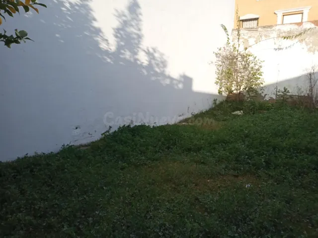 MAGNIFICO SOLAR A LA VENTA EN CANTILLANA (SEVILLA) - foto 4
