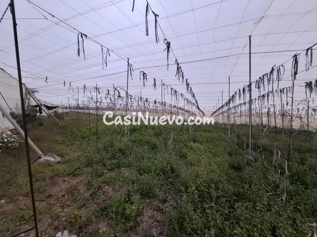 Venta de Terreno rústico agrario con invernadero de 5.747 m2 - foto 2