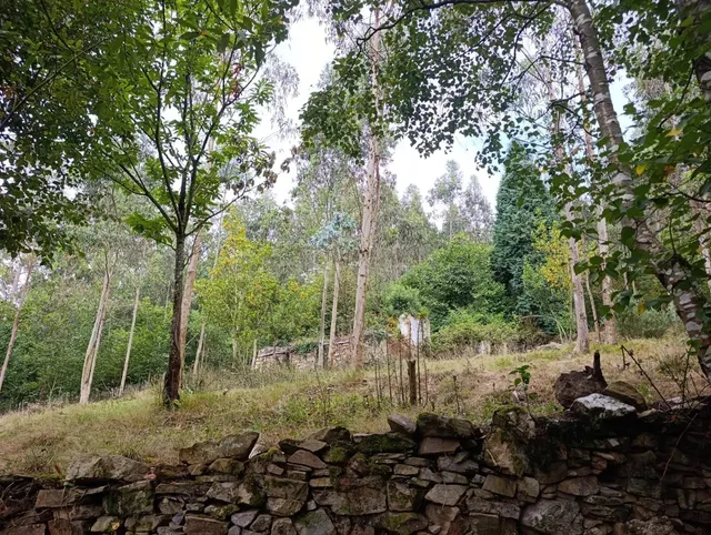 Finca rústica 40m² en venta - Northern spain - foto 3