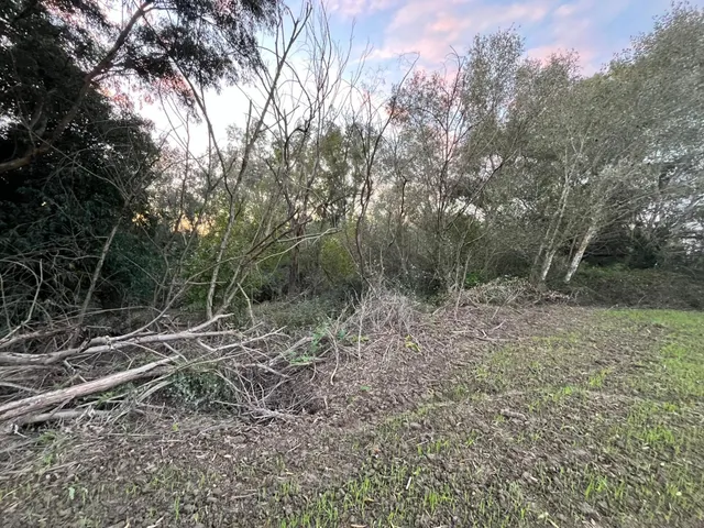 Parcela en mesas del corral — 5