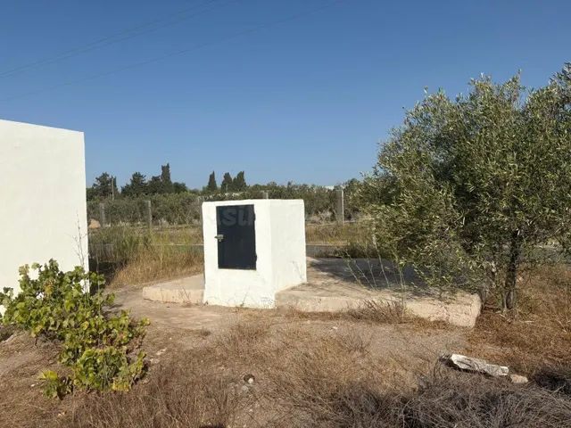 Se Vende Parcela Agraria en San Isidro - Nijar - foto 3