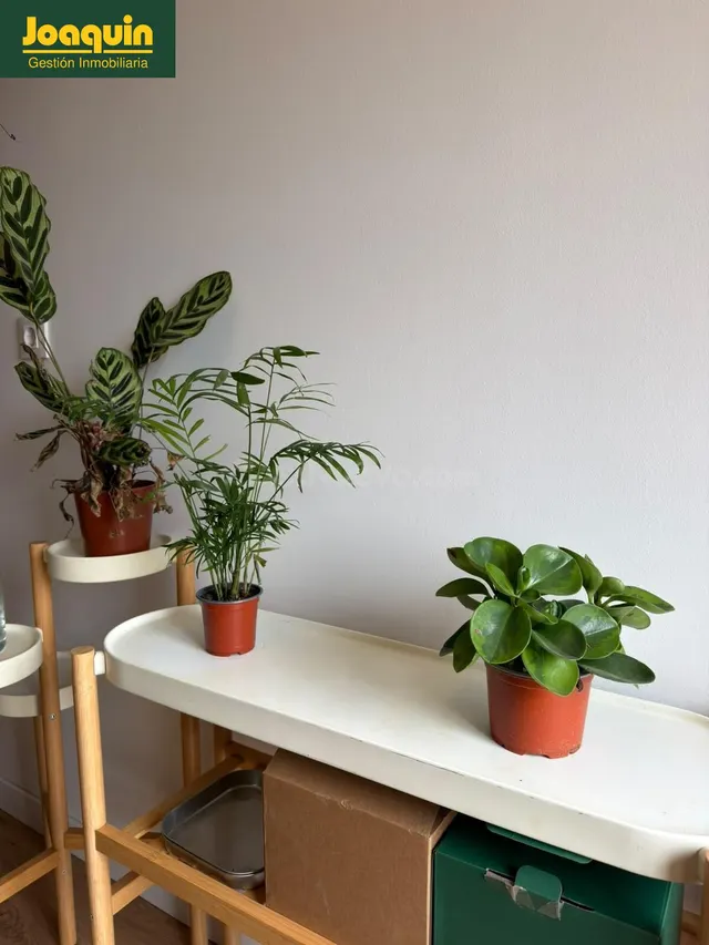 PISO TOTALMENTE EQUIPADO Y REFORMADO PARA ENTRAR A VIVIR EN  - foto 4