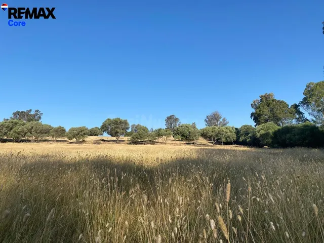 Finca Rústica de 5 Ha con Construcción Registrada – Finca en - foto 4