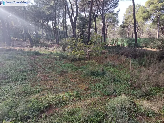 Espectacular parcela con chalet y piscina a 15 minutos de Albacete — 26