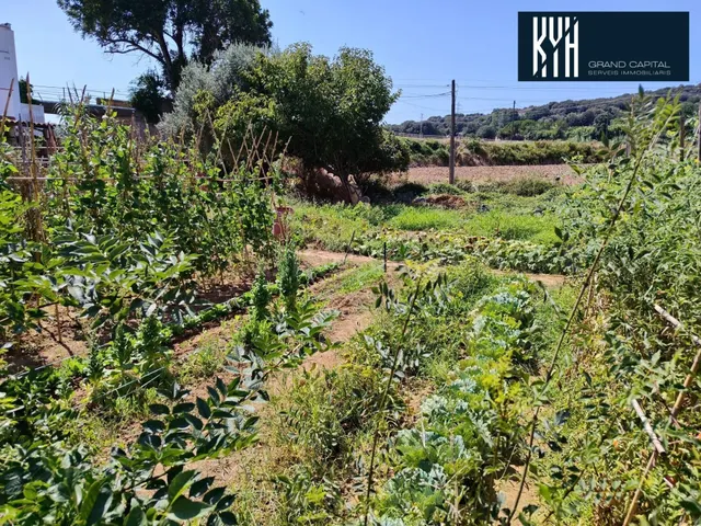 TERRENO EN MONTFULLA - foto 2