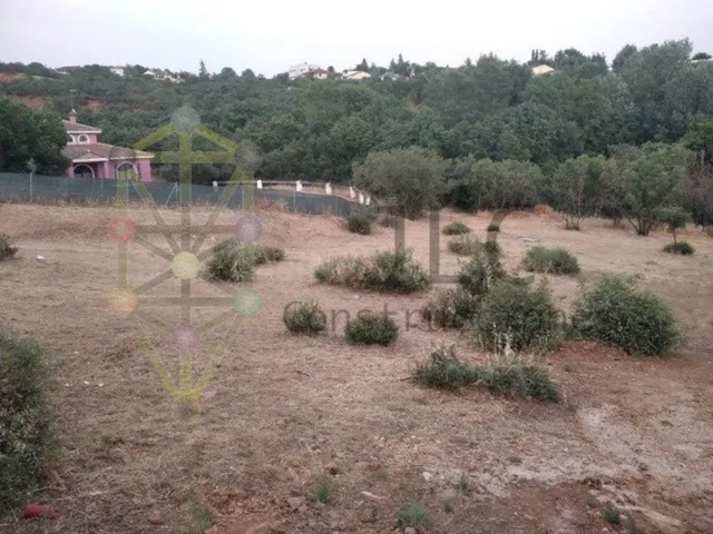 Terreno urbano 3 habitaciones 121m² en venta - Caraquiz - foto 4