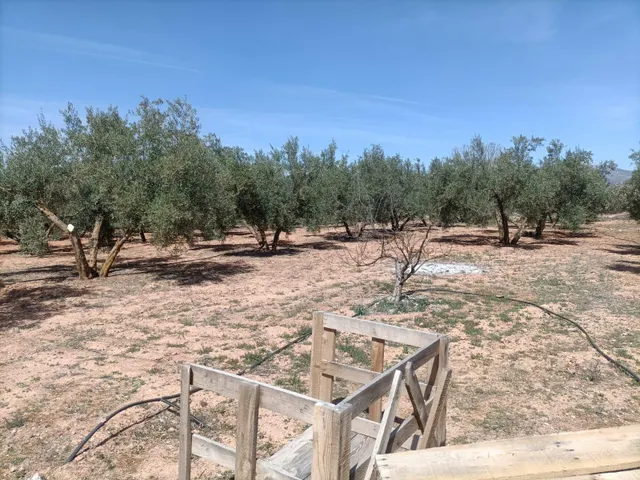Finca rústica en venta — 10