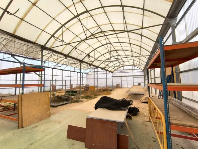 Local comercial 972m² en venta - Pedanías Oeste - foto 2