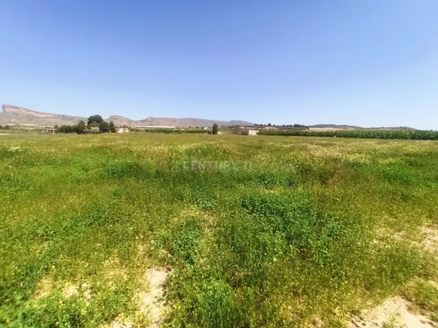 Terreno rural en venta - Jumilla