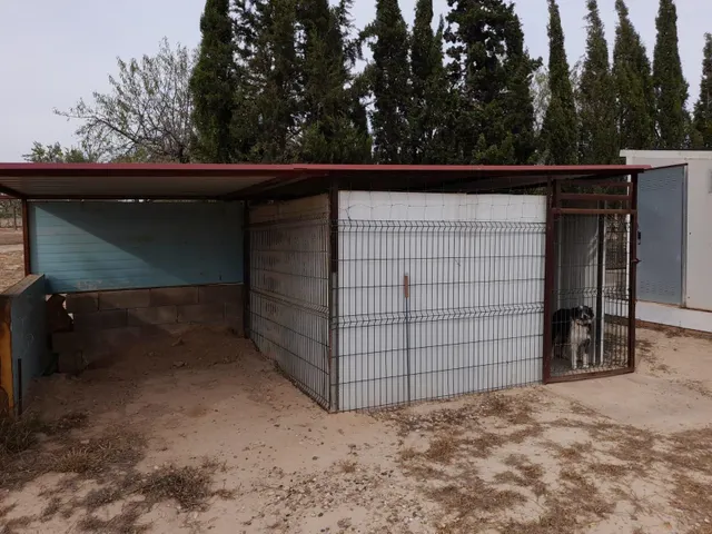 OPORTUNIDAD CASA RUSTICA EN FINCA DE 0,7 HAS.CON VIVIENDA EN SU INTERIOR, PISCINA Y ALMACENES EN MORA LA NOVA — 37