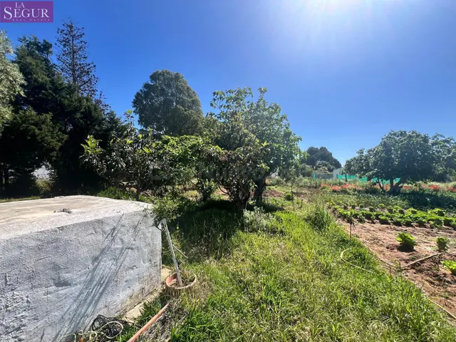 ESTUPENDA PARCELA CON CASA EN LA MUELA - foto 4