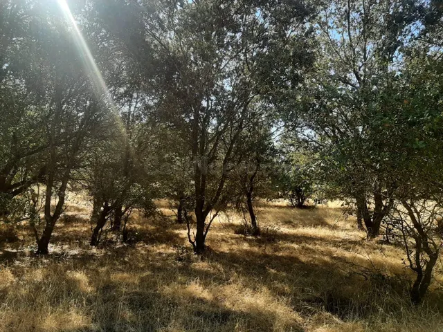 Parcela en venta en el pantano de Valdesalor - foto 4