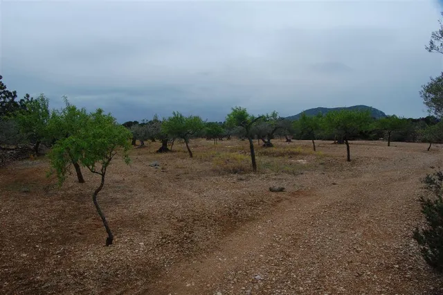 Finca rústica en venta - Afueras del pueblo — 6