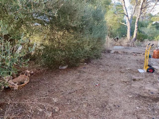 FINCA RÚSTICA AUTOSUFICIENTE EN ALGAIDA — 10