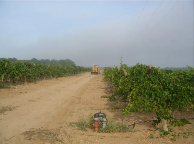 2 terrenos rústicos de uso agrario con un total de 324.946 m2 (32,49 Hectáreas) actualmente viñedos — 4