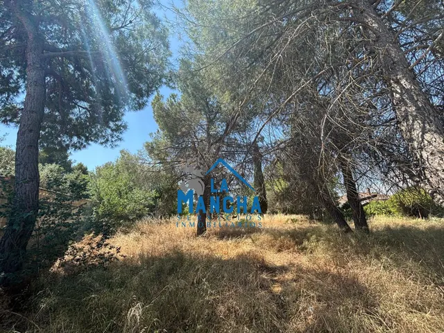 *125.000€* INMOBILIARIA LA MANCHA VENDE PARCELA EN CARRETERA - foto 4