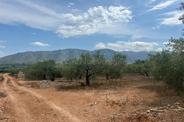 Finca rústica con caseta de aperos en Freginals - foto 5