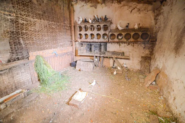Urbis te ofrece una casa con terreno en venta en Doñinos de Salamanca, Salamanca. — 16
