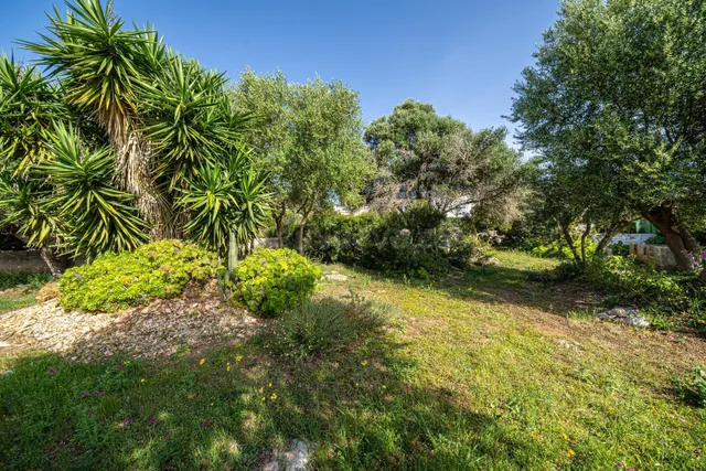 Terreno urbano en Bahía Grande para construir la casa de tus - foto 4