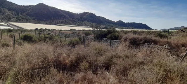PARCELA 30.000 METROS DE TERRENO — 18