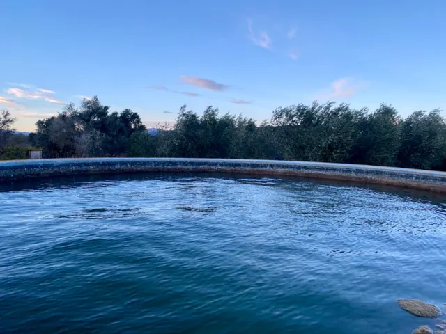 Encantador terreno con agua y luz de 1,2 ha — 5